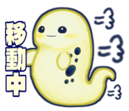 797206404