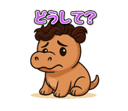797207680