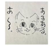 797234145