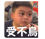 797238657