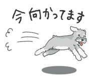 797253079