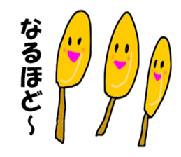 7972602