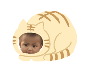 797260910