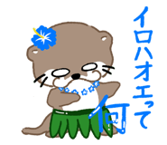 797264007