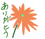 797268685