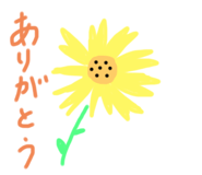 797268686