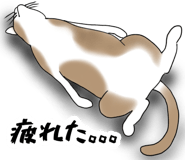 797269990