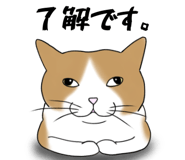 797269992