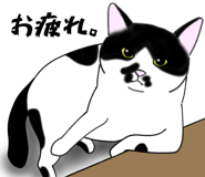 797270008