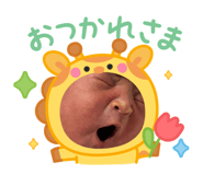 797271426