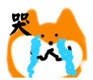 797284766