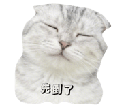 797292652
