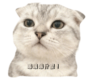 797292655