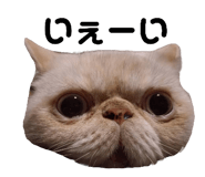 797301841