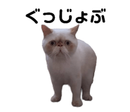 797301843
