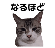 797301846