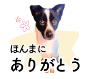 797305502