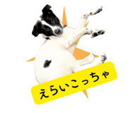797305510