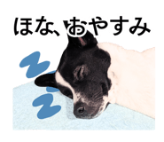 797305520