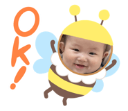 797325016