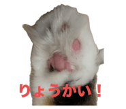 797329174