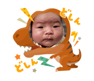 797333061