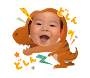 797337135
