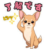 797346976