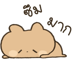 ลายที่ 37