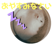 797354498