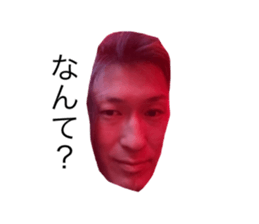 797355120