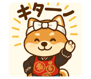 797355522