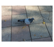 797355861