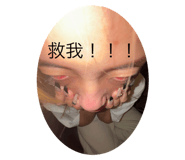797359646