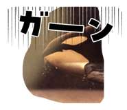 797360596