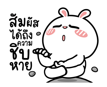 ลายที่ 17