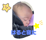 797370658