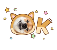 797374094