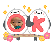 797387733