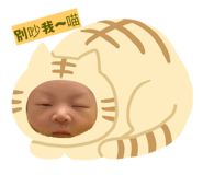 797387736