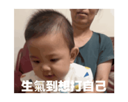 797393320