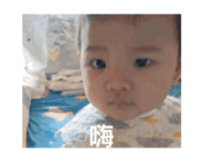 797393324