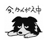 797416546