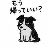 797416549