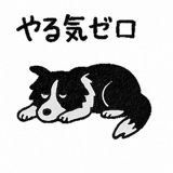 797416554