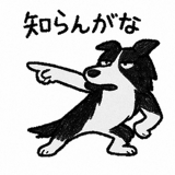 797416562