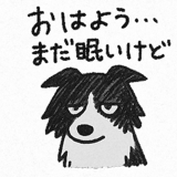 797416569