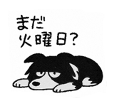 797416571