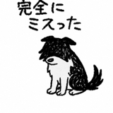 797416578