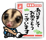 797444847